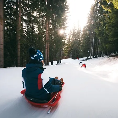 شقة 2 Pieces Confortable, Skis Aux Pieds, Balcon, 4 Pers. - Fr-1-182a-25