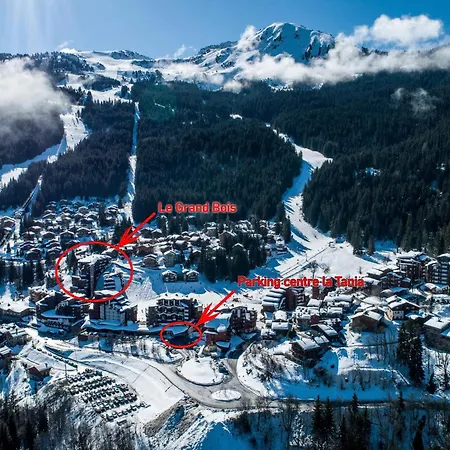 Confortable 2 Pièces Skis Aux Pieds, 4 Personnes - Fr-1-182a-25 Appartement