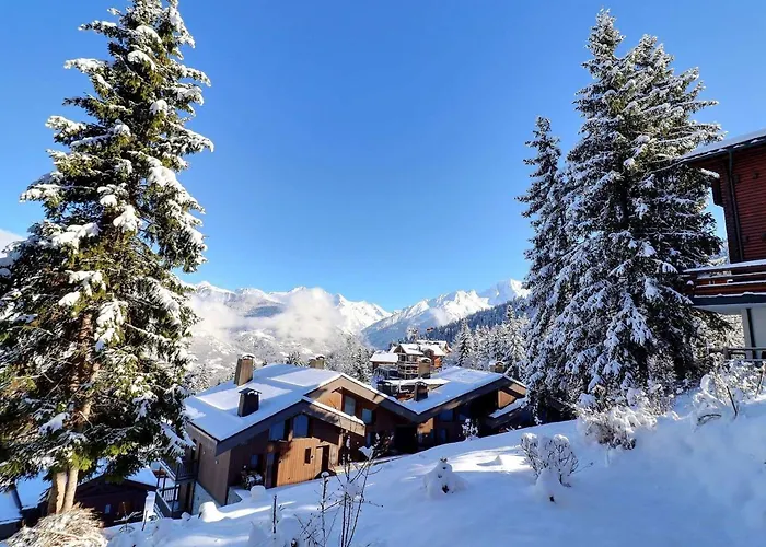 شقة 2 Pieces Confortable, Skis Aux Pieds, Balcon, 4 Pers. - Fr-1-182a-25