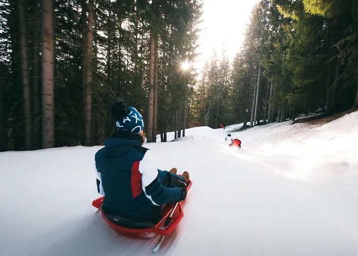 2 Pieces Confortable, Skis Aux Pieds, Balcon, 4 Pers. - Fr-1-182a-25